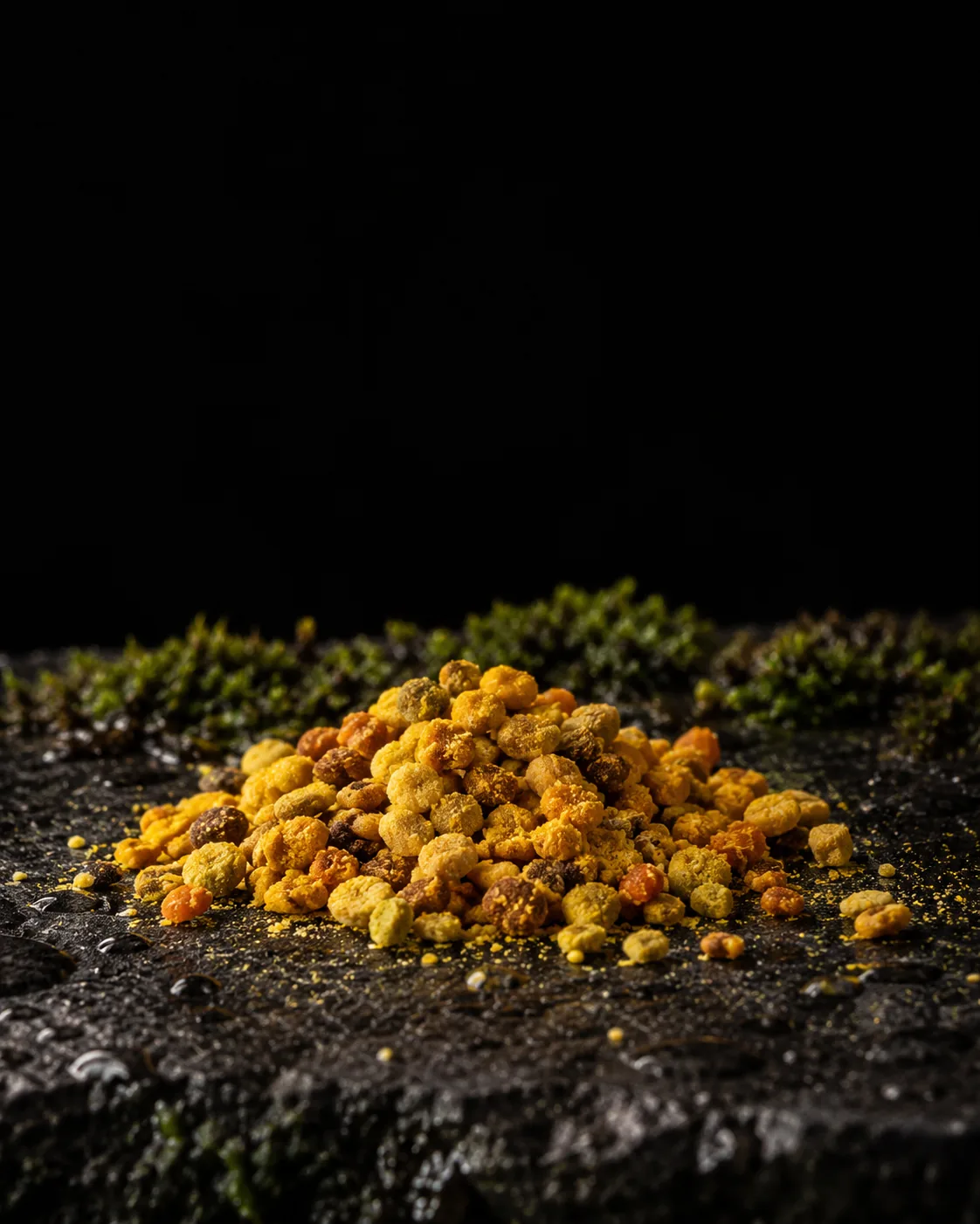 A heap of golden and orange bee pollen granules on wet black basalt, moss behind