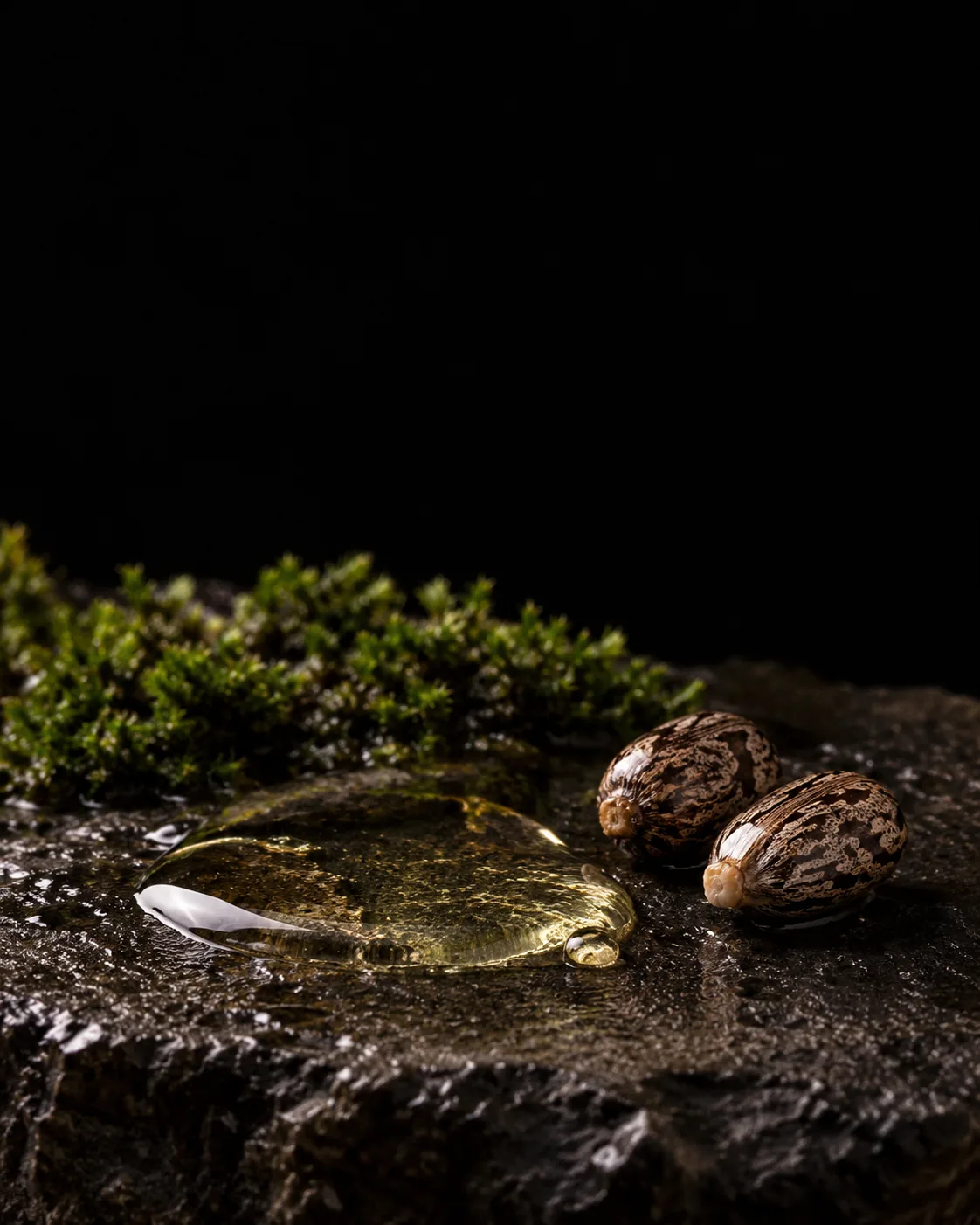 A thick pool of pale golden castor oil beside two mottled castor beans on wet black basalt