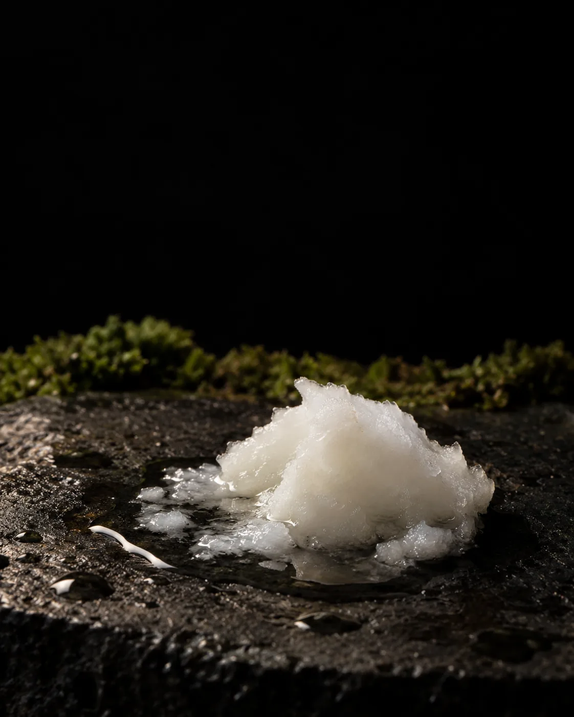 A scoop of solid white coconut oil melting into a clear pool on wet black basalt
