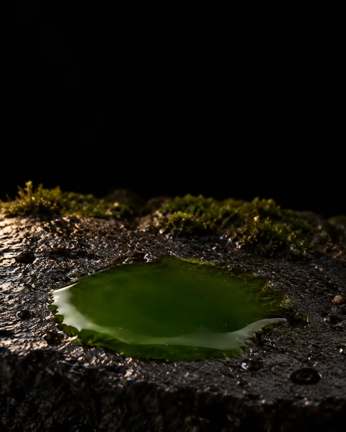 A pool of deep green microalgae-rich water on wet black basalt, moss behind