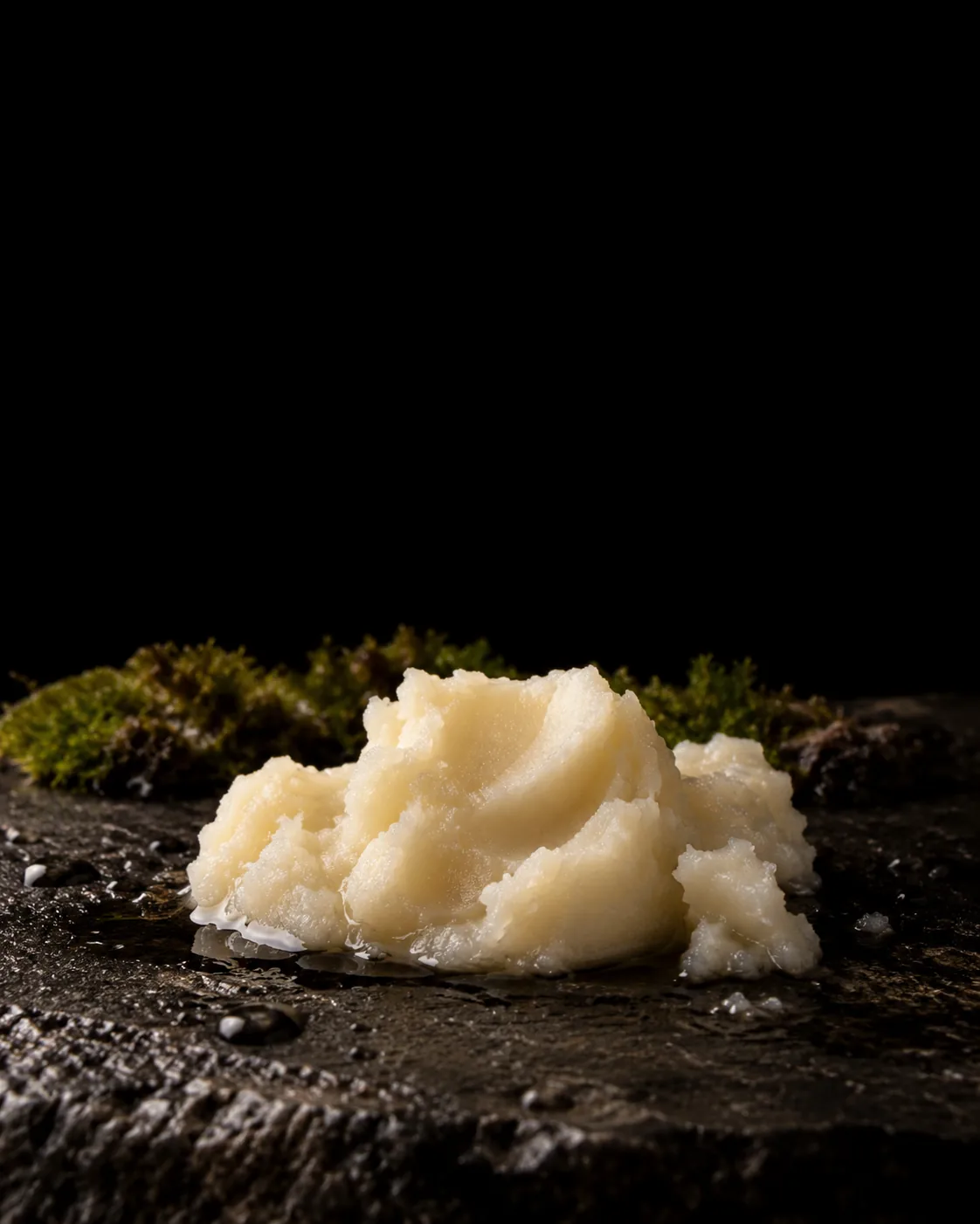A soft ivory mound of waxy emollient melting at its edges on wet black basalt