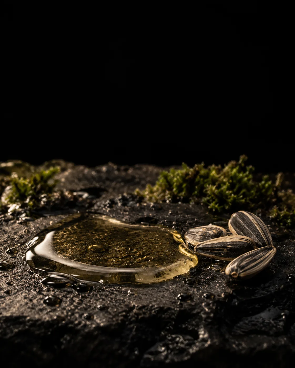 A pool of pale golden sunflower oil beside striped sunflower seeds on wet black basalt