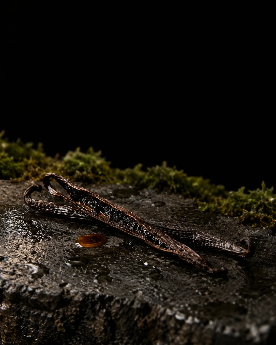Two cured vanilla pods, one split open, beside a drop of amber extract on wet black basalt