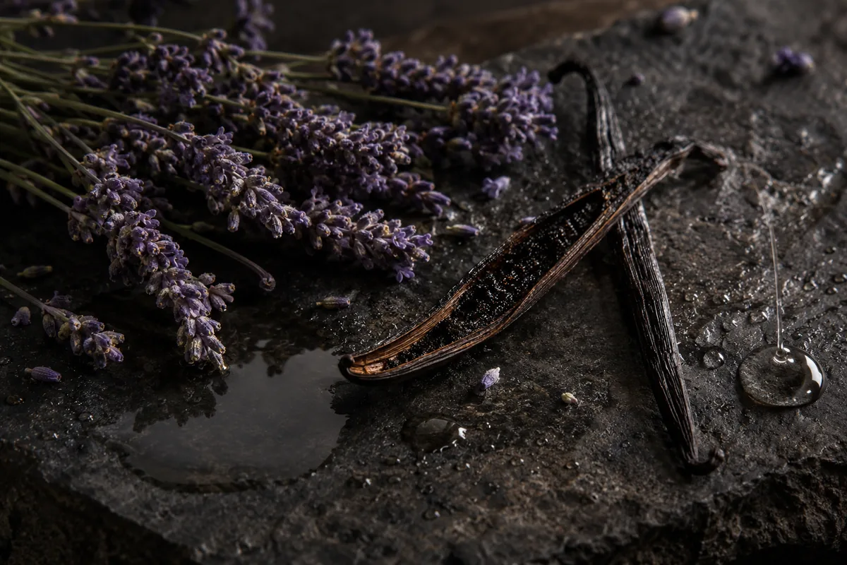 Fresh lavender sprigs, two cured vanilla pods (one split open), a small pool of water and a thread of clear glycerin on dark basalt