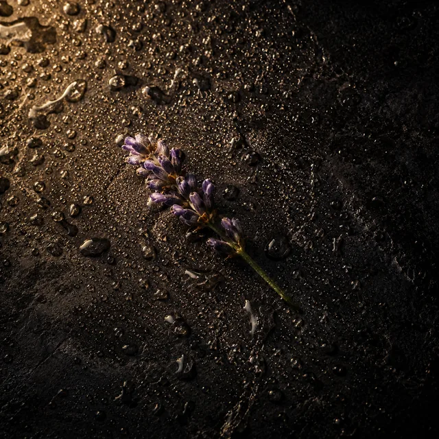 Fine mist droplets glittering on dark stone beside a small sprig of lavender