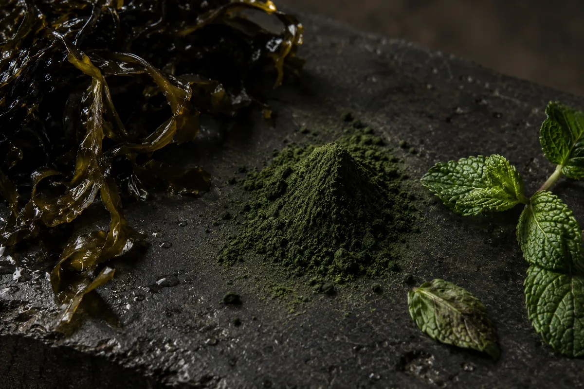 Wet strands of black-brown seaweed, a small heap of green microalgae powder and a sprig of fresh peppermint on dark basalt